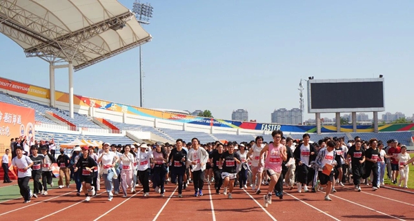 红十字1.jpg
