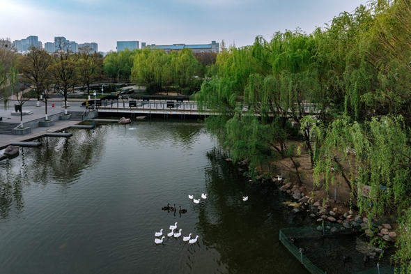 Campus scenery of Zhengzhou University