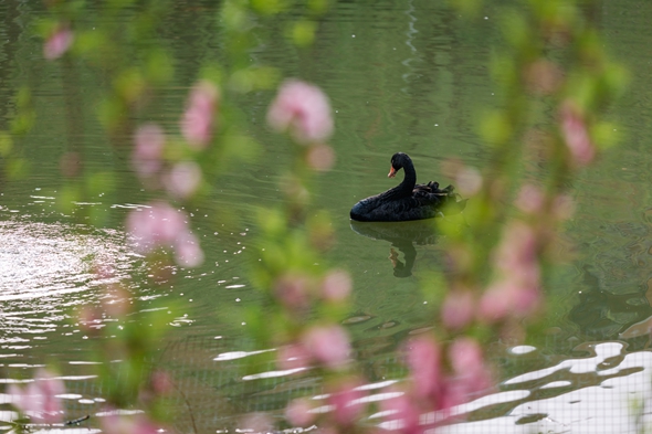Tranquil beauty of ZZU