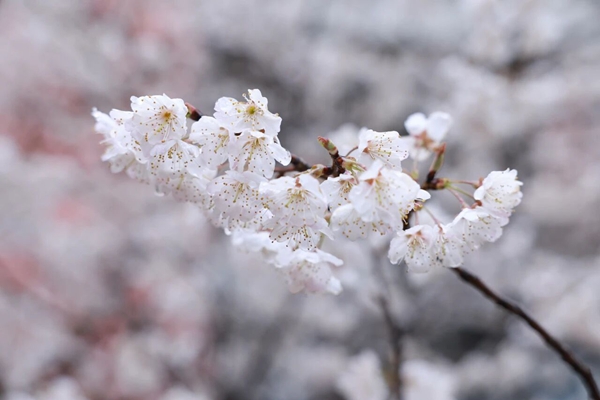 Welcome back: ZZU kicks off new semester