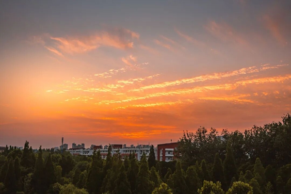 Announcement on alumni information collection for the International College of ZZU